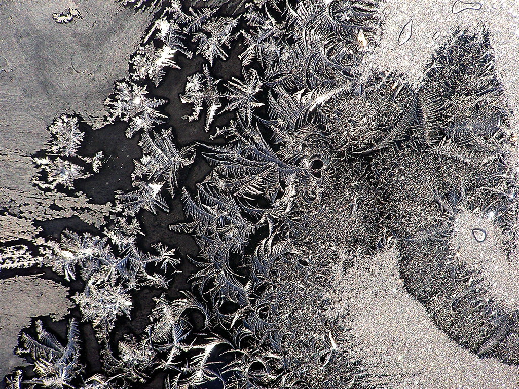 Fern-like frost crystals covering a dark window pane