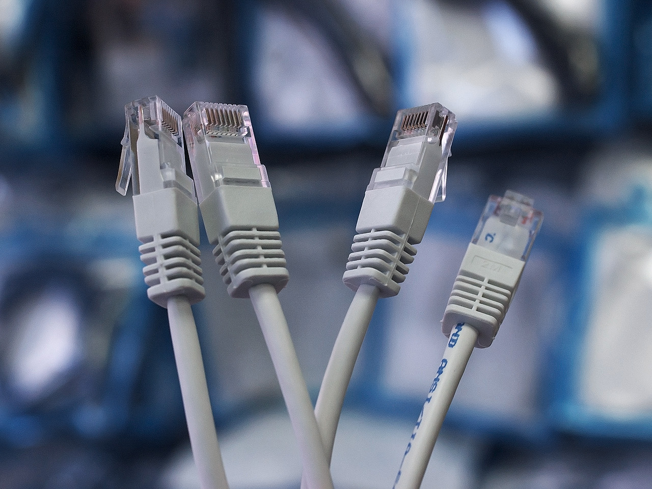 Close-up of white Cat-5e Ethernet cables with RJ45 connectors